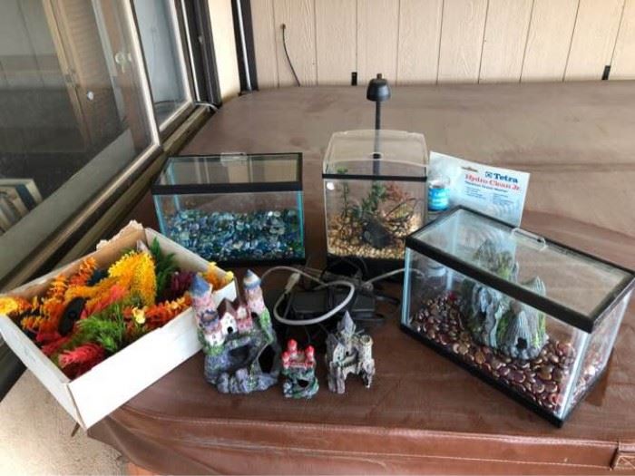Aquariums and Supplies