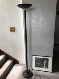 Floor Lamp and Picture