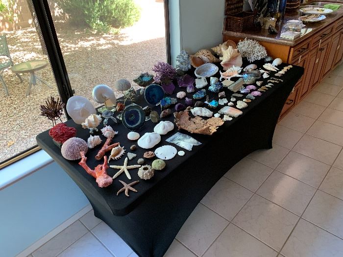 Minerals & Shells