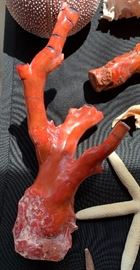 Natural Raw Red Coral Large