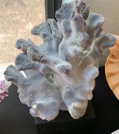 Natural Blue Coral Reef