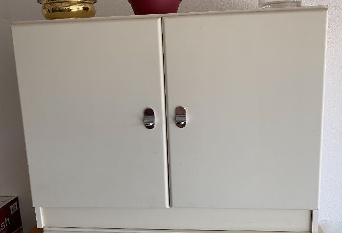 Garage Cabinet #1 23.5x13.5x16.5in HxWxD