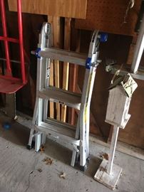 A Werner adjustable ladder.