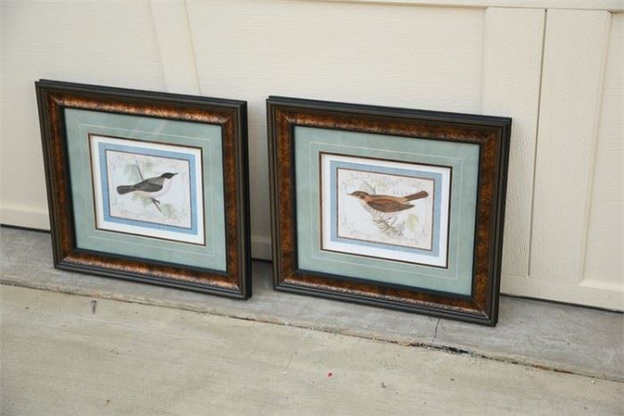 138. Pair of Decorative Bird Prints