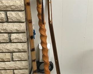 Canes and walking stick.