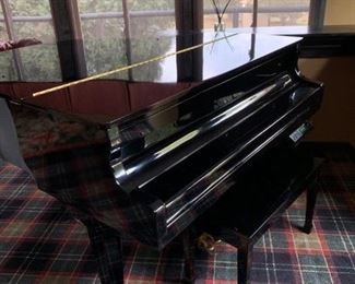 Electronic player piano