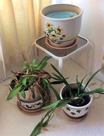 WWT049 Potted Plants and Table