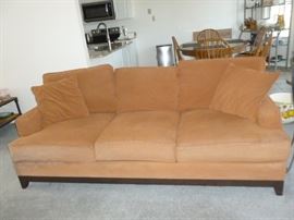 Sofa (needs cleaning)