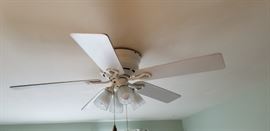 Ceiling fans