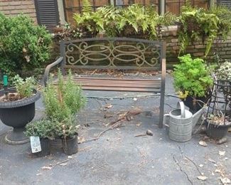Garden bench and lots of plants, watering cans, and containers