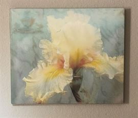 Orchid Canvas