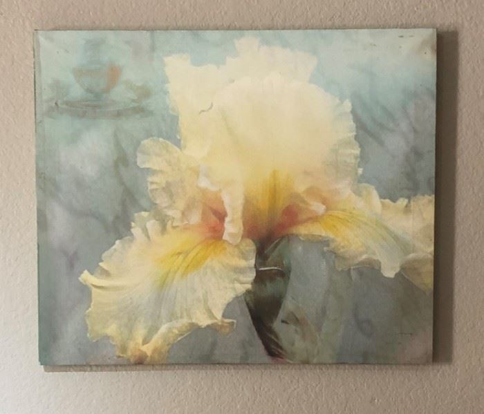 Orchid Canvas