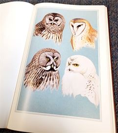 The Field Guide Art of Roger Tory Peterson - Firest Edition 2 volume leatherbound set - Eastern Birds and Western Birds - from Easton Press