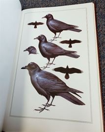 The Field Guide Art of Roger Tory Peterson - Firest Edition 2 volume leatherbound set - Eastern Birds and Western Birds - from Easton Press