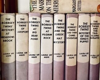The Bobbsey Twins books