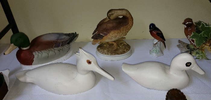 Collection of Ducks