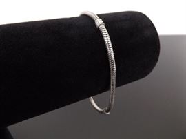 .925 Sterling Silver Pandora Bracelet