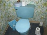 Two American Standard turquoise blue toilets.