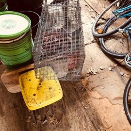 Raccoon Cage trap