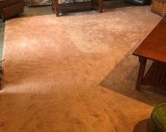 Large carpet rug