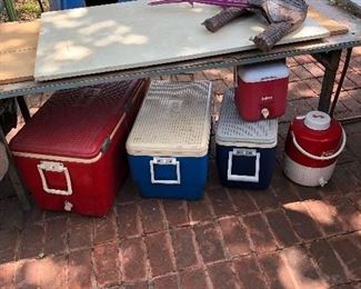 Coleman and Igloo containers