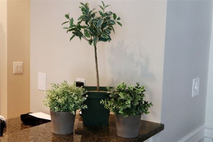 39. Group Lot of Decoraive House Plants