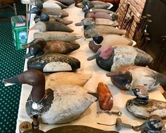 Collection of Duck and Geese Decoys