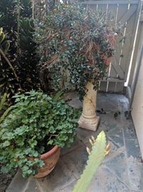 https://www.grasons.com/wp-content/uploads/2019/04/IMG_20190412_165514.jpg
