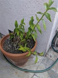 https://www.grasons.com/wp-content/uploads/2019/04/IMG_20190412_165546.jpg