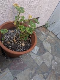 https://www.grasons.com/wp-content/uploads/2019/04/IMG_20190412_165551.jpg