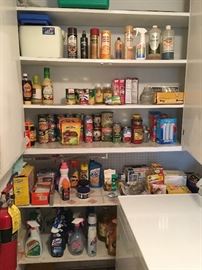 Canned Food, Cleaning Supplies