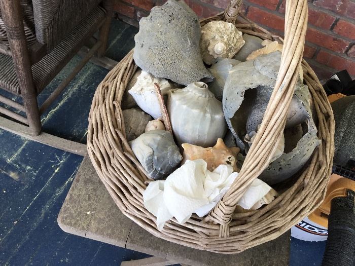 Vintage shells