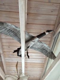 Goose