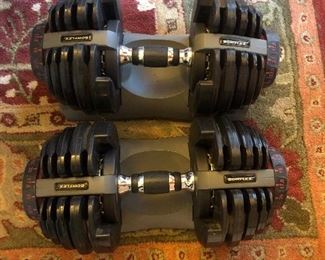 Bowflex handweights