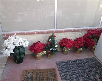 Potted Poinsettias
