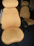 Relax the Back Ergonomic Executive Chairs with headrests