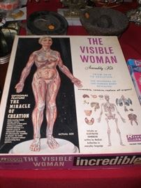The visible woman assembly kit MIB