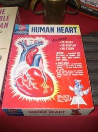 Pyro Human Heart assembly kit with box