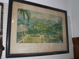 The central view of coffee plantation spice mill 1928