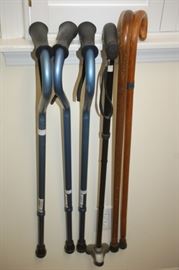 Variety of canes