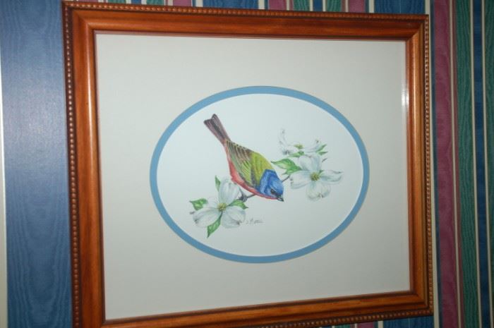 Wildlife by Jay Mizzel, Painted Bunting, in pen