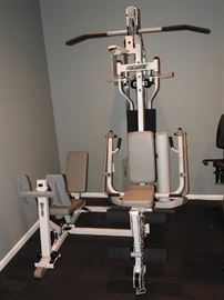 Hoist H310 Gym