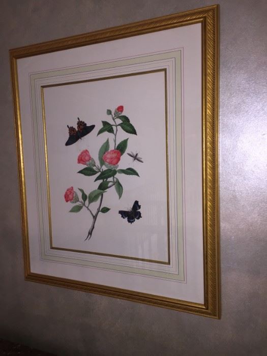 Botanical Print with French Matting $150
