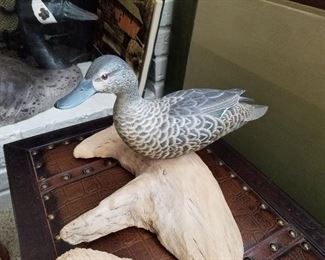 Duck decoy mounted on drift wood.