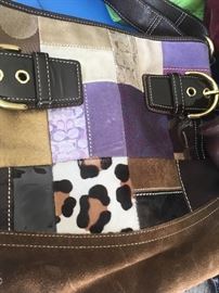 Coach holiday specials