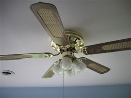 One of 2 brown fans.