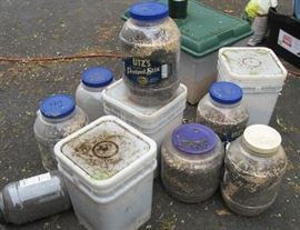 Bird seed. 11 containers - LOTS!