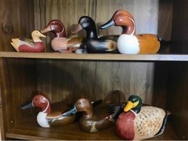 063 Koelpin Ducks  More