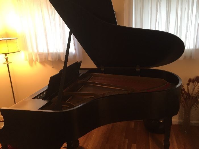 1923 Steinway Model M Grand. Rebuilt by Steinway in 1970. 