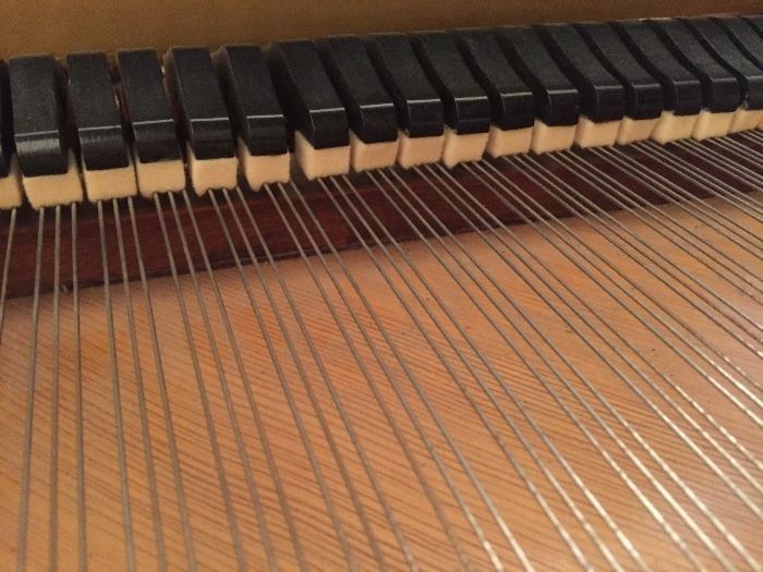 1923 Steinway Model M Grand. Rebuilt by Steinway in 1970. 